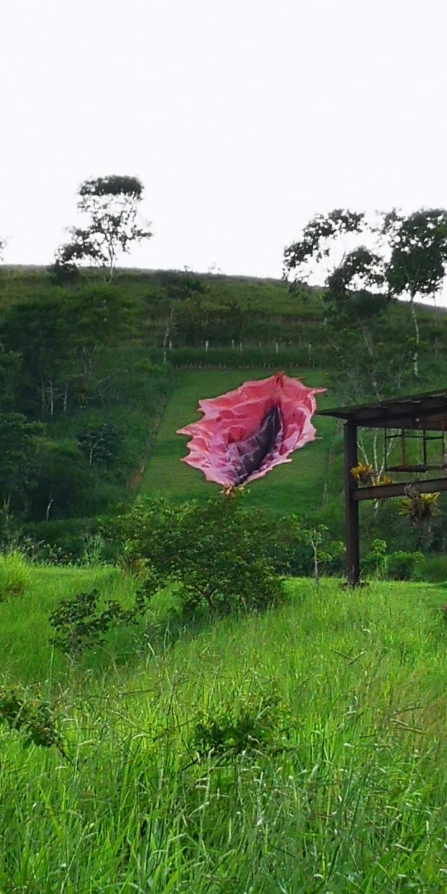 Diva: vulva y herida