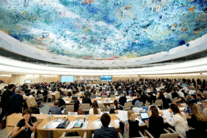 New OHCHR Report