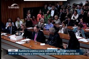 audiencia publica senado sug abril 2016