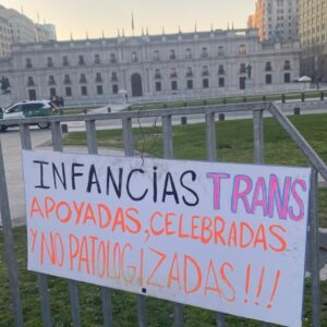 Photo by Franco Fuica. The banner reads: “Trans childhoods supported, celebrated and non-pathologised!”.